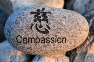 Positive reinforcement word Compassion engrained in a rock